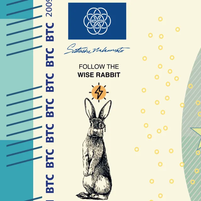 Wise Rabbit – Vorderseite